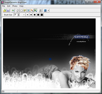 IE BrightSpot screenshot