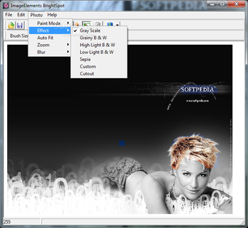 IE BrightSpot screenshot 2