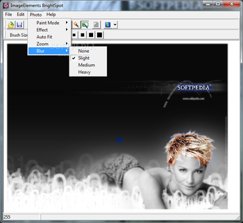 IE BrightSpot screenshot 3