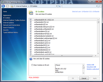 IE Security Pro screenshot 6