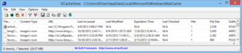 IECacheView screenshot