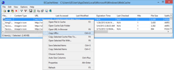 IECacheView screenshot 2