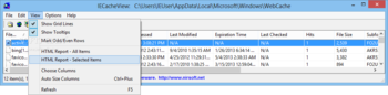 IECacheView screenshot 4