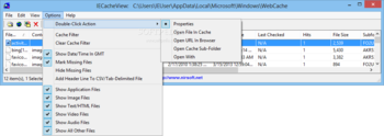 IECacheView screenshot 5