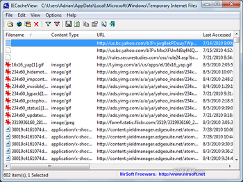 IECacheView screenshot 2