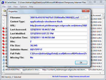 IECacheView screenshot 4