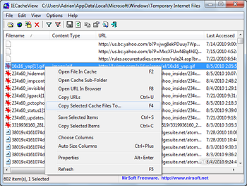 IECacheView screenshot 5