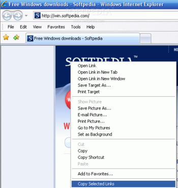 IECopySelectedLinks screenshot