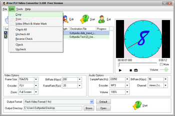 iFree FLV Video Converter screenshot 3