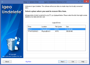IGEO Undelete screenshot