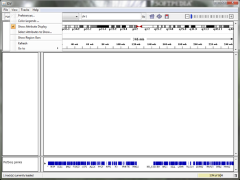 IGV screenshot 2