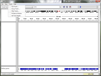 IGV screenshot 3