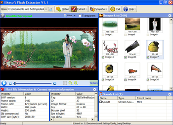 ilikesoft Flash Extractor screenshot