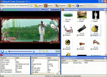 ilikesoft Flash Extractor screenshot 2