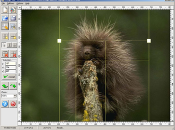 Image Cut (Image Splitter) screenshot 2