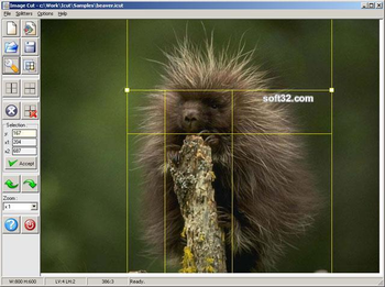 Image Cut (Image Splitter) screenshot 3