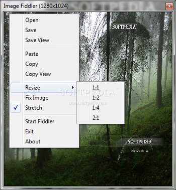 Image Fiddler screenshot