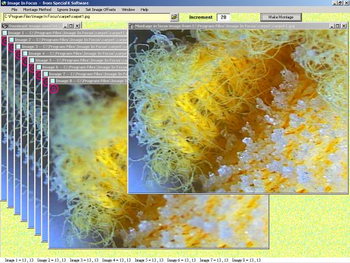 Image In Focus screenshot 3