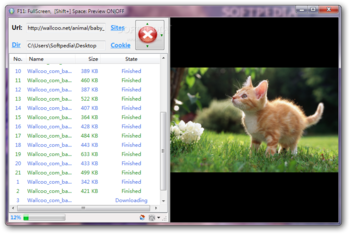 Image Ripper Portable screenshot