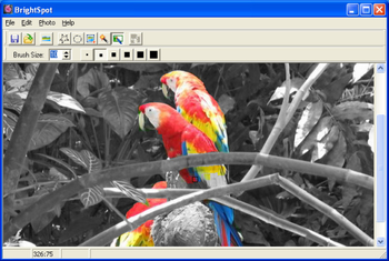 ImageElements BrightSpot screenshot