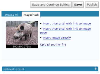 ImageShack Uploader for WordPress screenshot