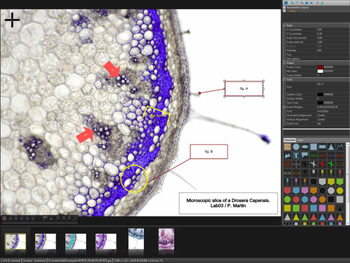 IMatch screenshot 4