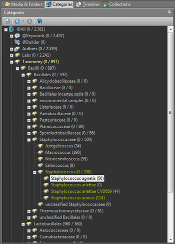 IMatch screenshot 6