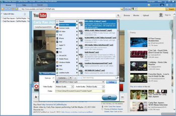 ImElfin Youtube Downloader screenshot 3