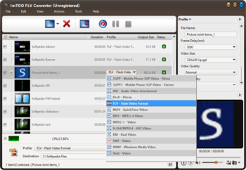 ImTOO FLV Converter screenshot 2