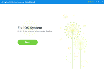 iMyFone iOS System Recovery screenshot