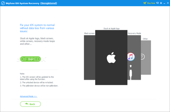 iMyFone iOS System Recovery screenshot 3