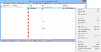 INI-Edit screenshot 2