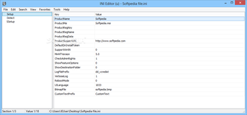 INI Editor screenshot