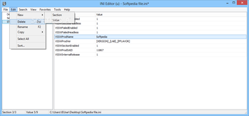 INI Editor screenshot 3