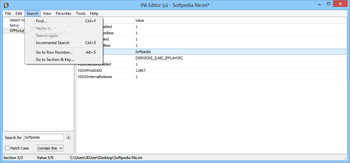 INI Editor screenshot 4