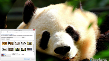 Innocent Animal Faces Windows 7 Theme screenshot