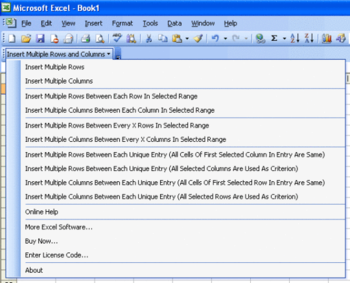 Insert Multiple Rows and Columns in Excel screenshot