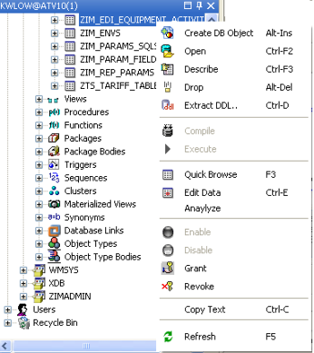 Insight Developer screenshot 5