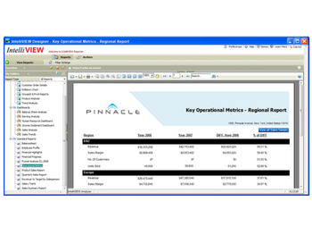IntelliView Designer screenshot