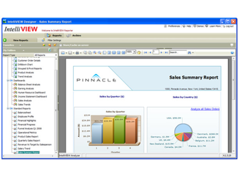 IntelliView Designer screenshot 2