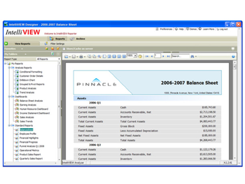 IntelliView Designer screenshot 3