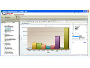 IntelliView Report Analyzer screenshot