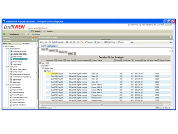 IntelliView Report Analyzer screenshot 2