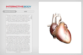 Interactive Body screenshot 2