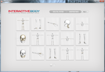 Interactive Body screenshot 2