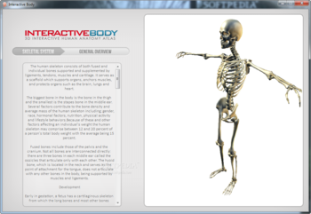 Interactive Body screenshot 3