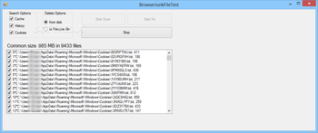 Internet Browser Cleaner ActiveX screenshot