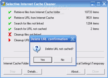 Internet Cache Cleaner screenshot 3