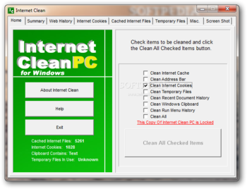 Internet Clean screenshot