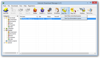 Internet Download Manager screenshot